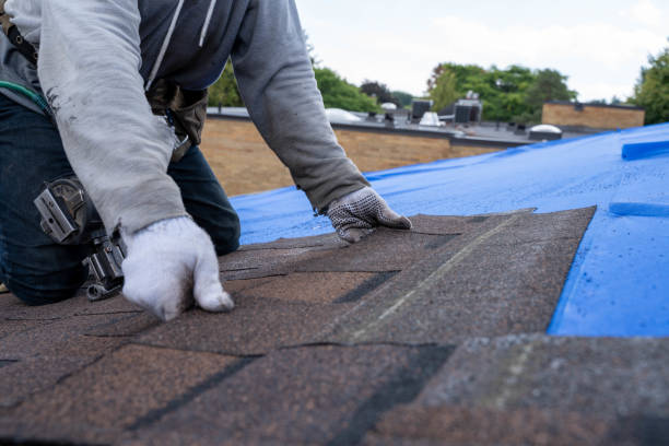 Best Roof Moss and Algae Removal  in Bartlett, TX